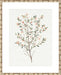 Single Sprig III Wall Art