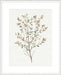 Single Sprig III Wall Art