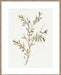 Single Sprig II Wall Art