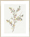 Single Sprig II Wall Art