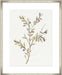 Single Sprig II Wall Art