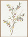 Single Sprig II Wall Art