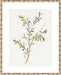 Single Sprig II Wall Art