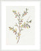 Single Sprig II Wall Art