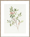 Single Sprig IV Wall Art