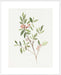 Single Sprig IV Wall Art