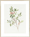 Single Sprig IV Wall Art