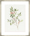 Single Sprig IV Wall Art