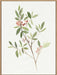 Single Sprig IV Wall Art