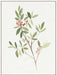 Single Sprig IV Wall Art