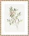 Single Sprig IV Wall Art