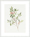 Single Sprig IV Wall Art