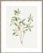 Single Sprig I Wall Art