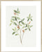 Single Sprig I Wall Art