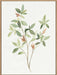 Single Sprig I Wall Art