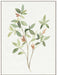 Single Sprig I Wall Art