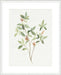 Single Sprig I Wall Art
