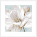 Soft White II Wall Art