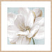 Soft White II Wall Art