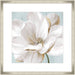 Soft White II Wall Art
