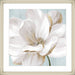 Soft White II Wall Art