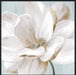 Soft White II Wall Art