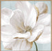 Soft White II Wall Art