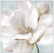 Soft White II Wall Art