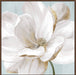 Soft White II Wall Art