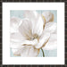 Soft White II Wall Art