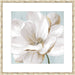 Soft White II Wall Art