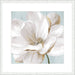 Soft White II Wall Art