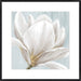 Soft White I Wall Art
