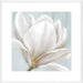 Soft White I Wall Art