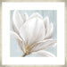 Soft White I Wall Art