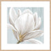 Soft White I Wall Art