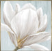 Soft White I Wall Art