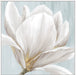 Soft White I Wall Art