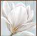 Soft White I Wall Art