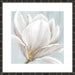 Soft White I Wall Art