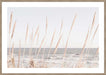 Studio III – Beach Vass 002 Wall Art
