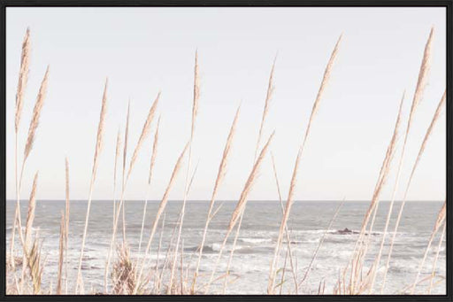 Studio III – Beach Vass 002 Wall Art