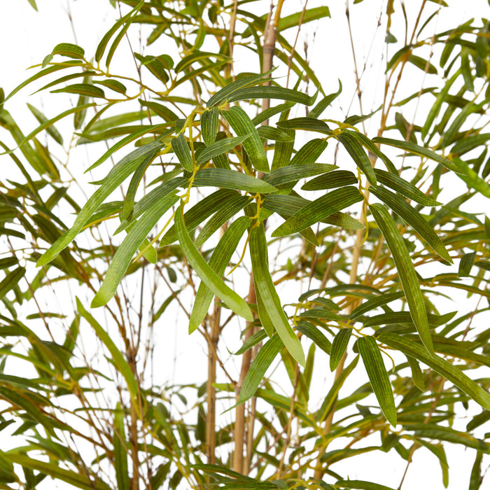 Bamboo Guadua Tree - Green, 210cm (H)