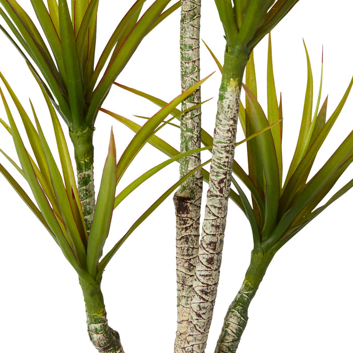 Yucca Tree - Green, 116cm (H)