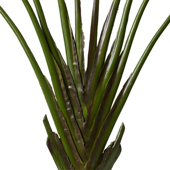 Palm Travellers - Green, 220cm (H)