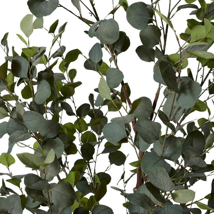 Eucalyptus Tree - Green, 210cm (H)