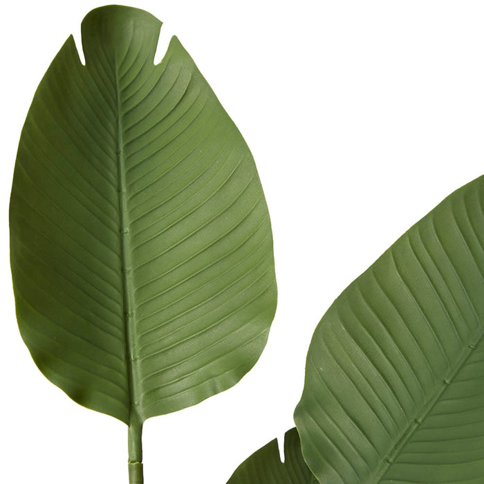 Bird of Paradise (Outdoor) - Green, 120cm (H)