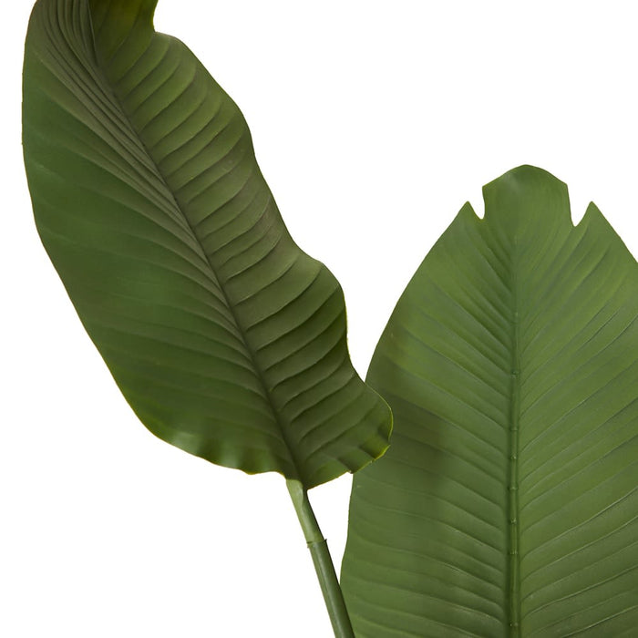 Bird of Paradise (Outdoor) - Green, 159cm (H)