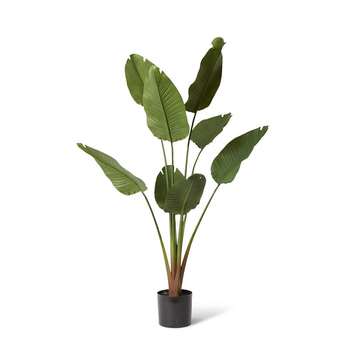 Bird of Paradise (Outdoor) - Green, 159cm (H)