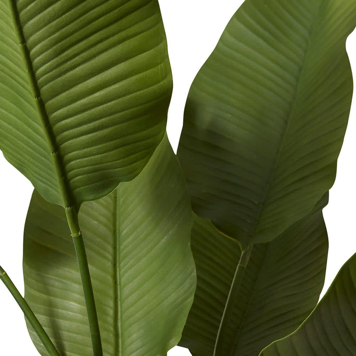 *Bird of Paradise (Outdoor) - Green, 185cm (H)